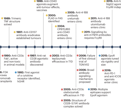 Realizing the potential of agonistic antibody immunotherapy