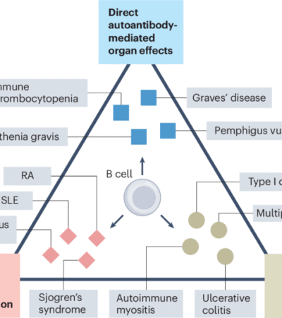 Resetting autoimmune disease with CAR cell therapies