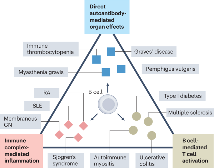 Resetting autoimmune disease with CAR cell therapies