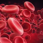 Scientists make old blood stem cells young again in major anti-aging breakthrough