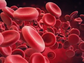 Scientists make old blood stem cells young again in major anti-aging breakthrough