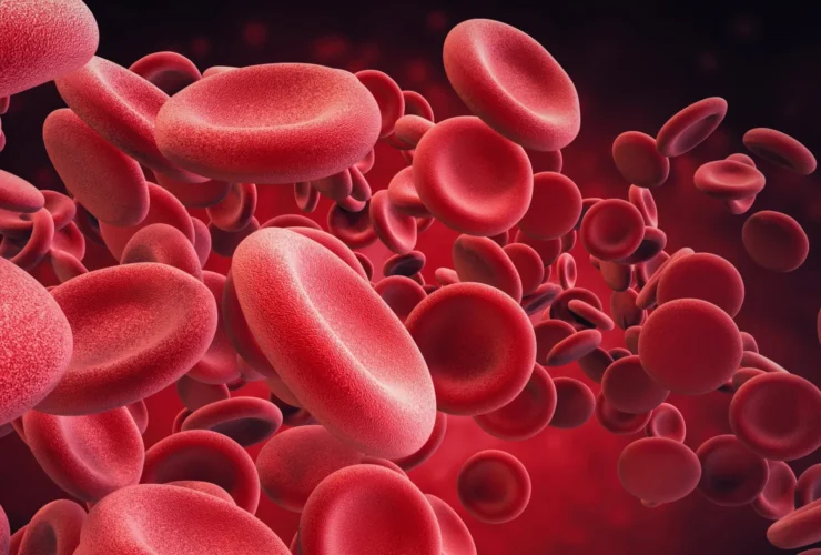 Scientists make old blood stem cells young again in major anti-aging breakthrough