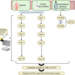 Serum CCL1 discriminates infectious and sterile systemic inflammation in sepsis and acute pancreatitis