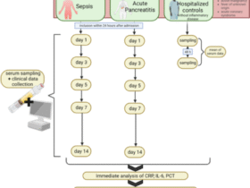Serum CCL1 discriminates infectious and sterile systemic inflammation in sepsis and acute pancreatitis