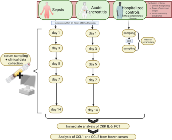 Serum CCL1 discriminates infectious and sterile systemic inflammation in sepsis and acute pancreatitis