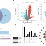 Shared gene signatures and biochemical regulatory networks linking Parkinson’s disease and ulcerative colitis