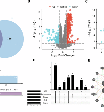Shared gene signatures and biochemical regulatory networks linking Parkinson’s disease and ulcerative colitis