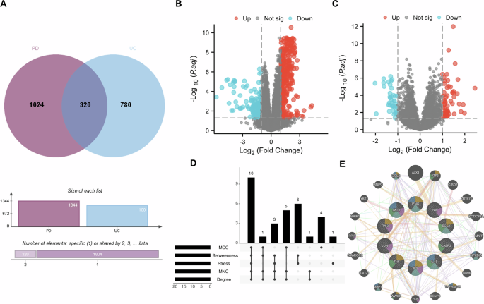 Shared gene signatures and biochemical regulatory networks linking Parkinson’s disease and ulcerative colitis