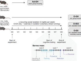 Social isolation of aged mice drives dramatic release of inflammatory lipoxygenase-derived oxylipins