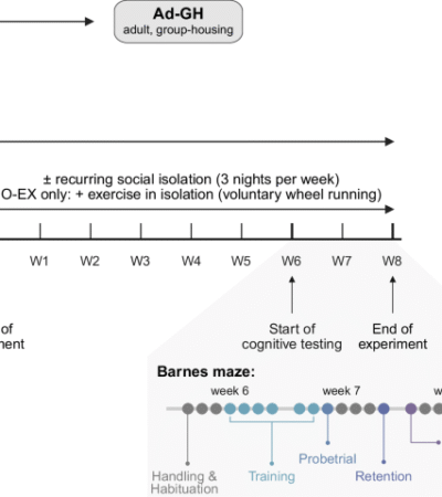 Social isolation of aged mice drives dramatic release of inflammatory lipoxygenase-derived oxylipins