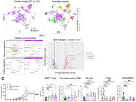 Solid tumors exploit proton-sensing GPR65 for orchestration of an immunosuppressive tumor microenvironment
