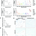 Spatiotemporal distribution of SARS-CoV-2 vaccines and vaccine-related proteins in mice and humans
