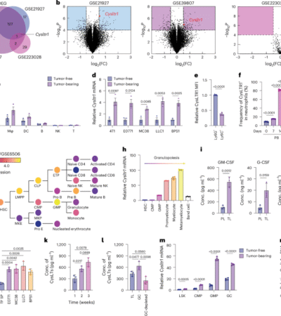 Targeting cysteinyl leukotriene receptor 1 reprograms tumor-promoting myelopoiesis and overcomes immune checkpoint therapy resistance
