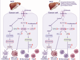 Targeting the OTU family: a core therapeutic strategy for reshaping the immunosuppressive microenvironment and reversing drug resistance in HCC by coordinating the autophagy-ferroptosis balance