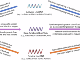 The Janus face of host LncRNA in viral infections: Defender or collaborator?