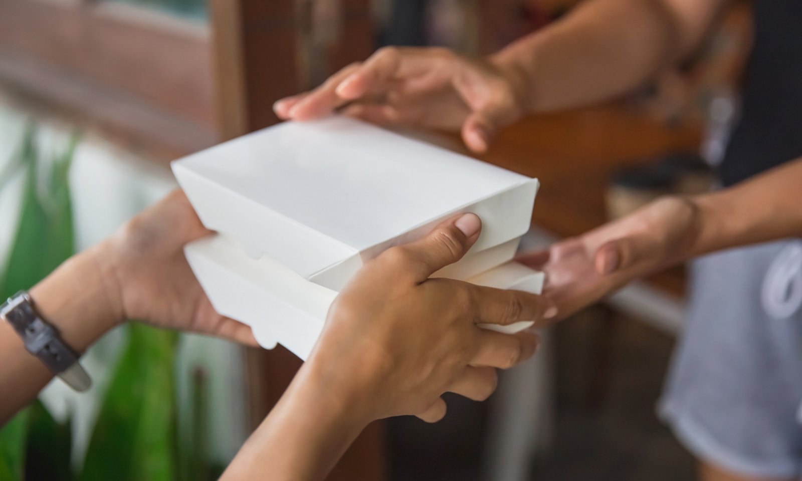 This Easy 1-Week Swap Reduced Hormone-Disrupting Chemicals By 50%
