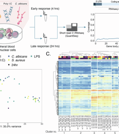 Transcription-based identification of uncharacterized genes in the human immune response