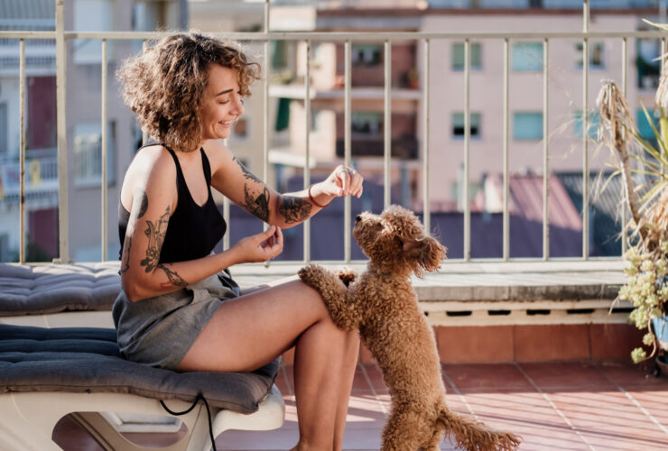 Your Bond With Your Pet May Matter More For Well-Being Than You Think