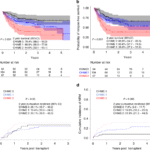 CHIME: a novel HLA eplet model associates with non-relapse mortality in haploidentical hematopoietic cell transplant with post-transplant cyclophosphamide