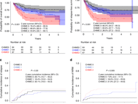 CHIME: a novel HLA eplet model associates with non-relapse mortality in haploidentical hematopoietic cell transplant with post-transplant cyclophosphamide