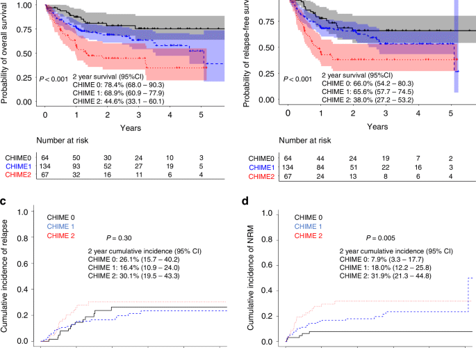 CHIME: a novel HLA eplet model associates with non-relapse mortality in haploidentical hematopoietic cell transplant with post-transplant cyclophosphamide