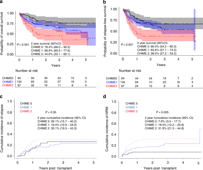 CHIME: a novel HLA eplet model associates with non-relapse mortality in haploidentical hematopoietic cell transplant with post-transplant cyclophosphamide