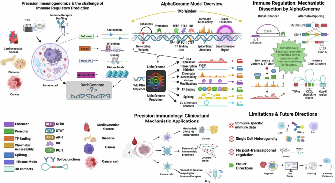 Decoding immune signaling landscapes: what AlphaGenome reveals