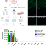 Reconstituting central nervous system niche cues partially restores homeostatic-like features in cultured murine primary microglia