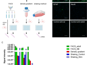 Reconstituting central nervous system niche cues partially restores homeostatic-like features in cultured murine primary microglia