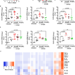 Salmonella SopB suppresses post-transcriptionally regulated cytokine release to reduce early tissue inflammation and delay disease progression