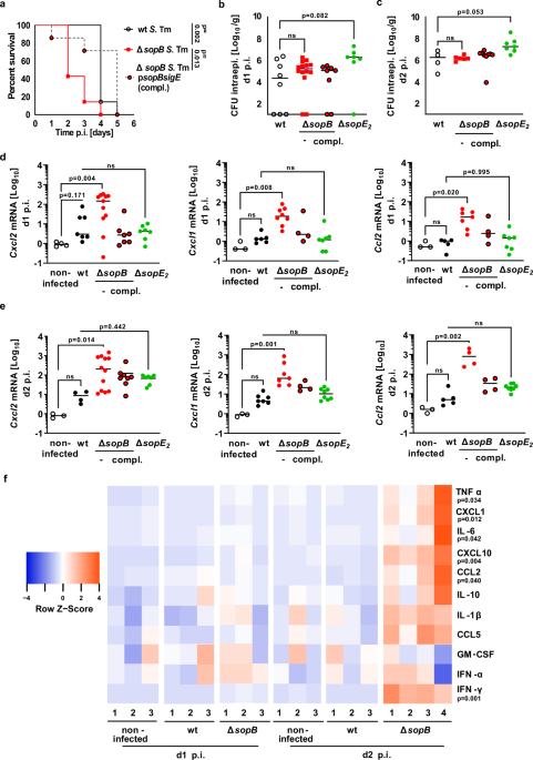 Salmonella SopB suppresses post-transcriptionally regulated cytokine release to reduce early tissue inflammation and delay disease progression