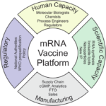 The strategic importance of mRNA vaccine technologies in Africa for achieving public health independence